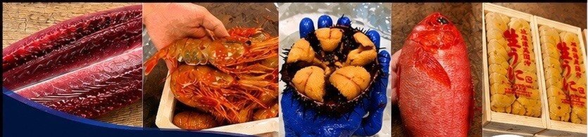 マグロ、エビ、ウニ、鯛、生うに