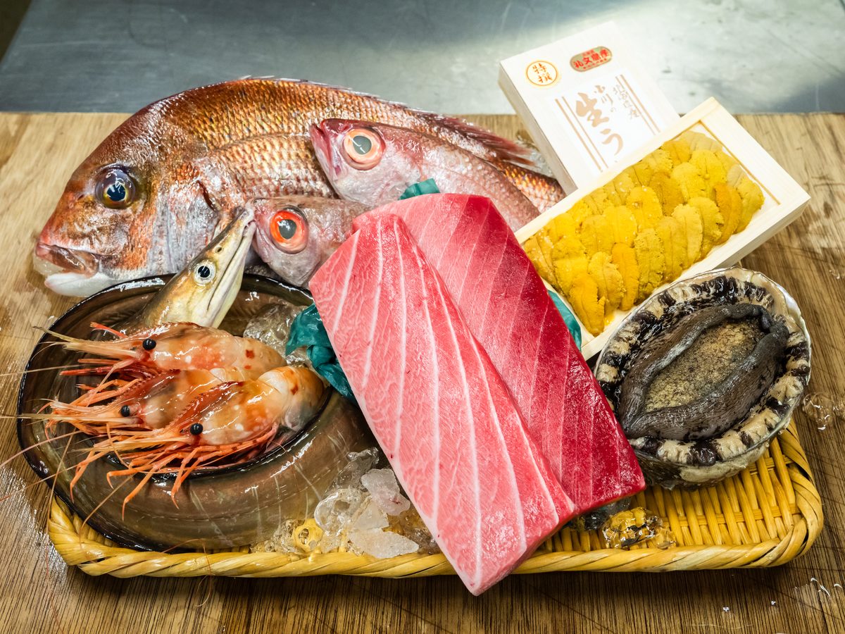 魚くん厳選鮮魚セット 松