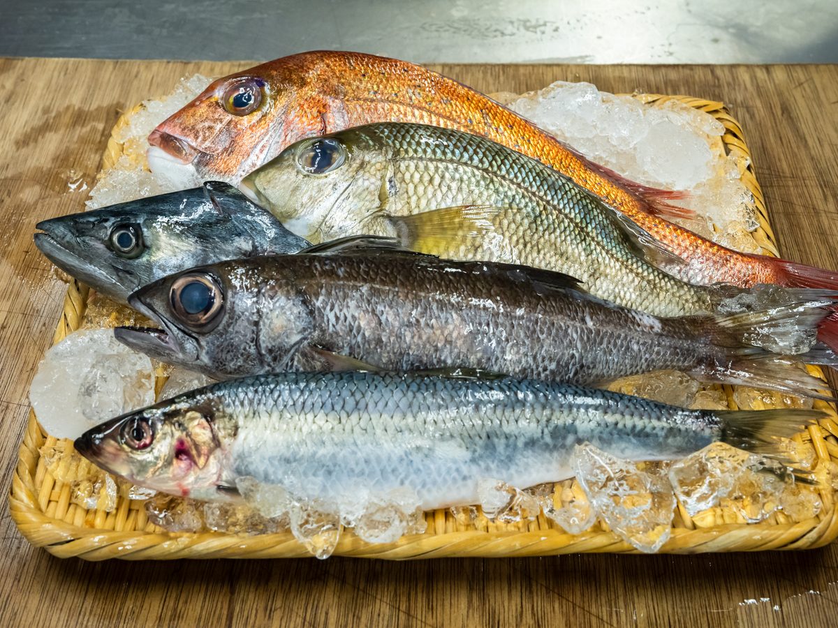 魚くん厳選鮮魚セット 梅